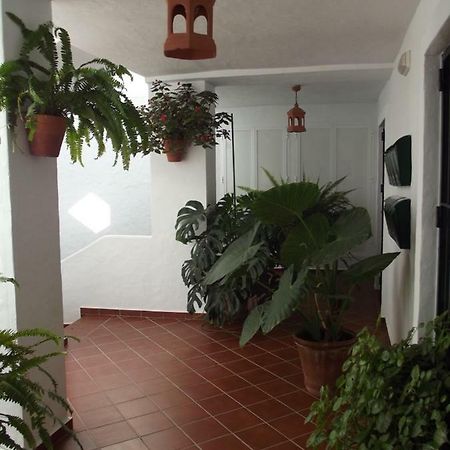 Apartamento En Conil โกนิล เด ลาฟรอนเตรา ภายนอก รูปภาพ