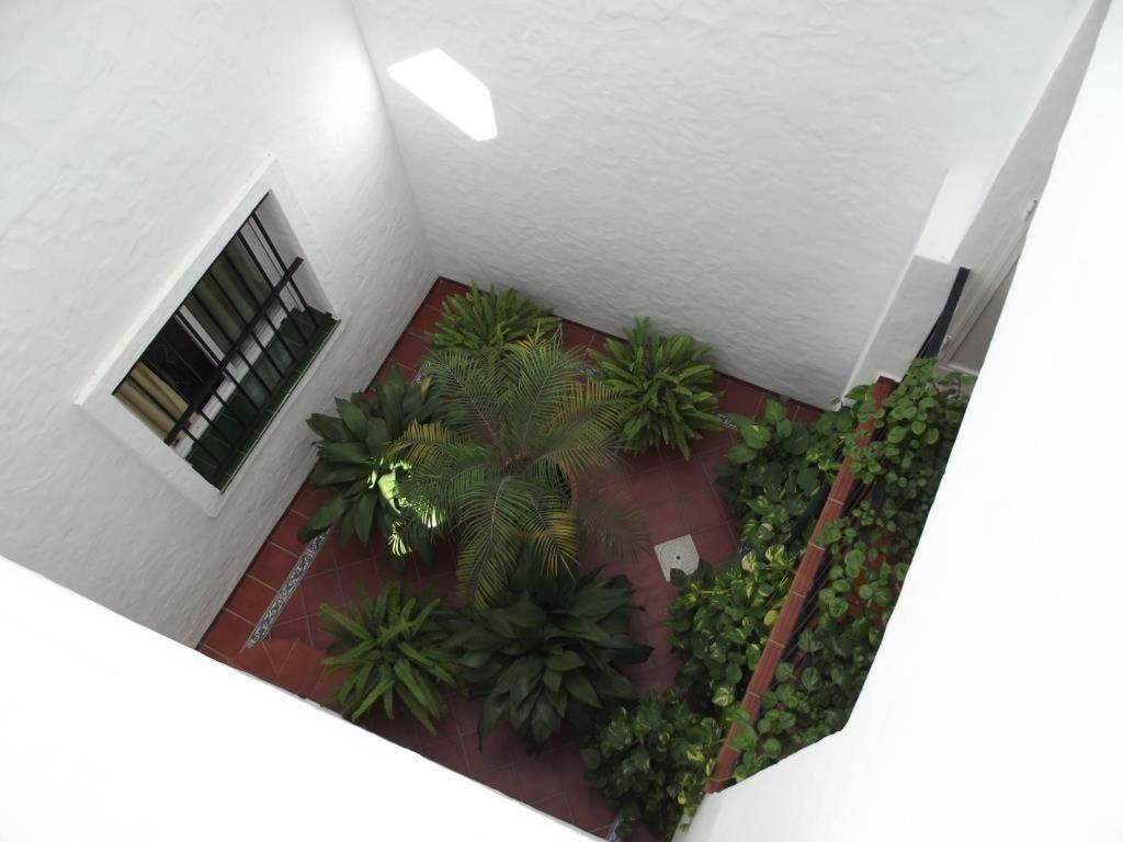 Apartamento En Conil โกนิล เด ลาฟรอนเตรา ภายนอก รูปภาพ